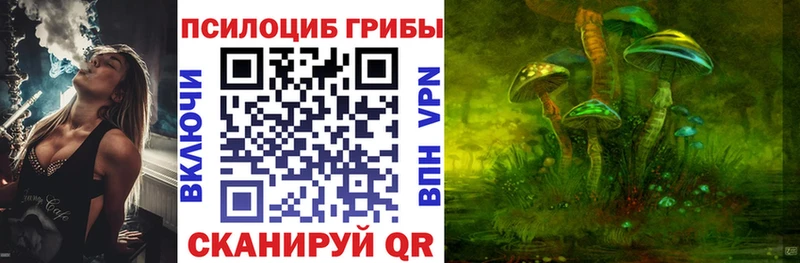 Псилоцибиновые грибы Psilocybe  Красный Холм 